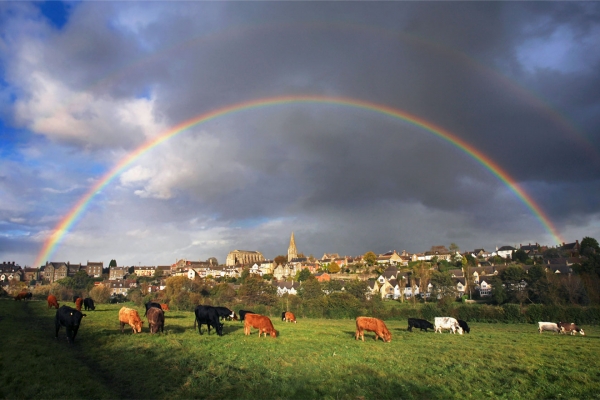 Rainbow