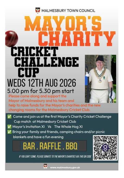 Mayor of Malmesbury Cricket Match!