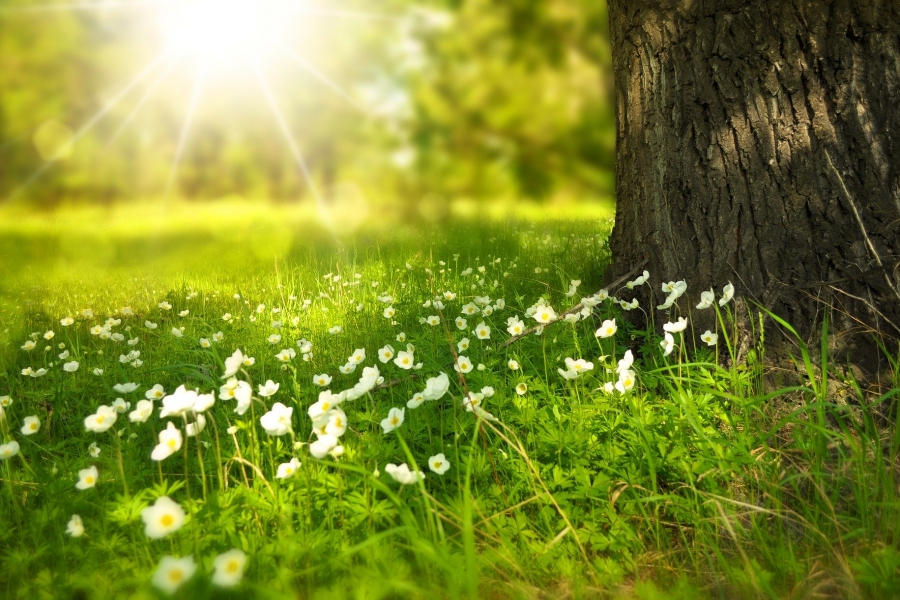 spring_276014_1920